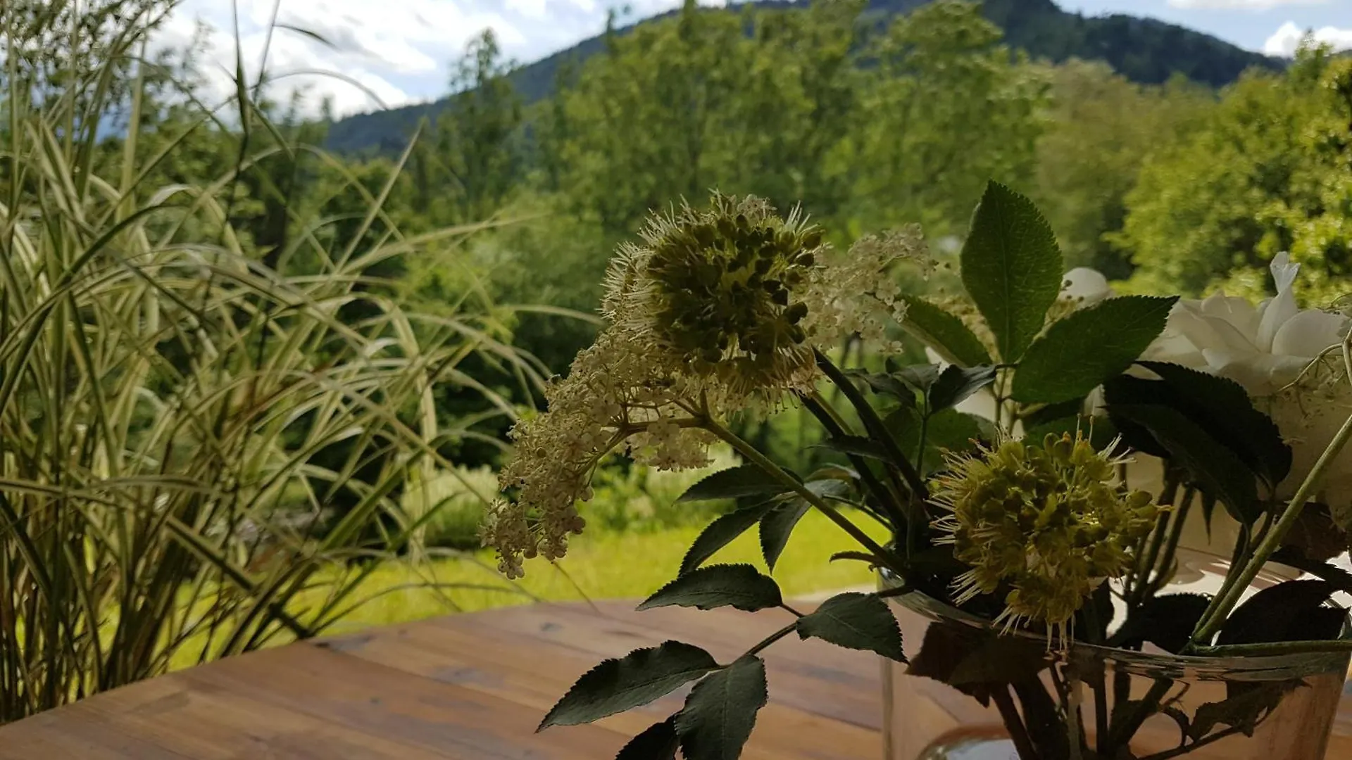 Apartment Gemuetliche Fewo Mit Balkon Und Bergblick Im Oberallgaeu, Ruhig Und Zentrumsnah Immenstadt im Allgaeu Germany
